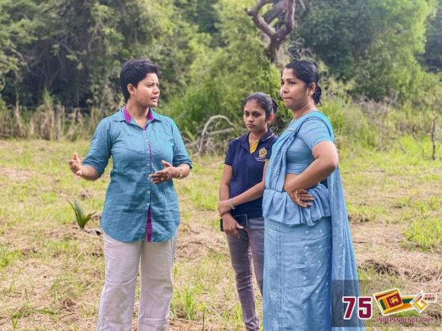 75 වන නිදහස් දින සමරු උළෙල